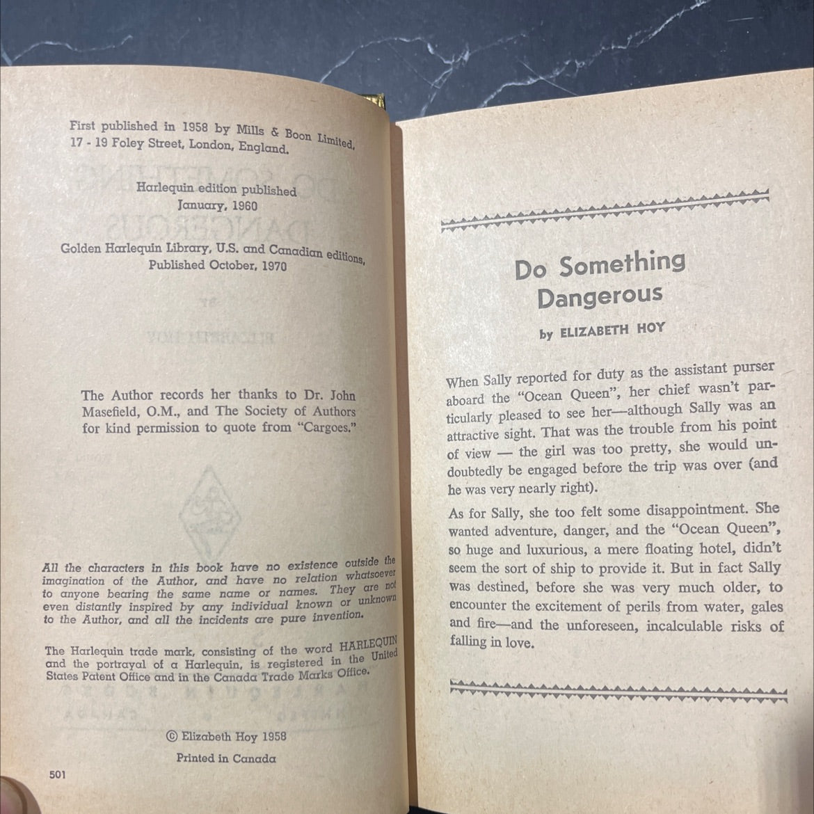 do something dangerous book, by elizabeth hoy, 1970 Hardcover image 3