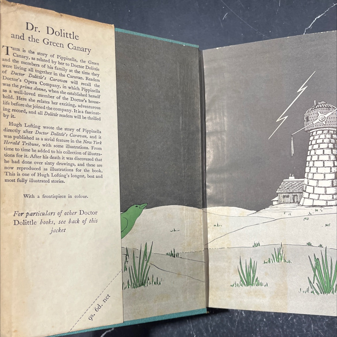 doctor dolittle and the green canary book, by hugh lofting, 1951 Hardcover image 4