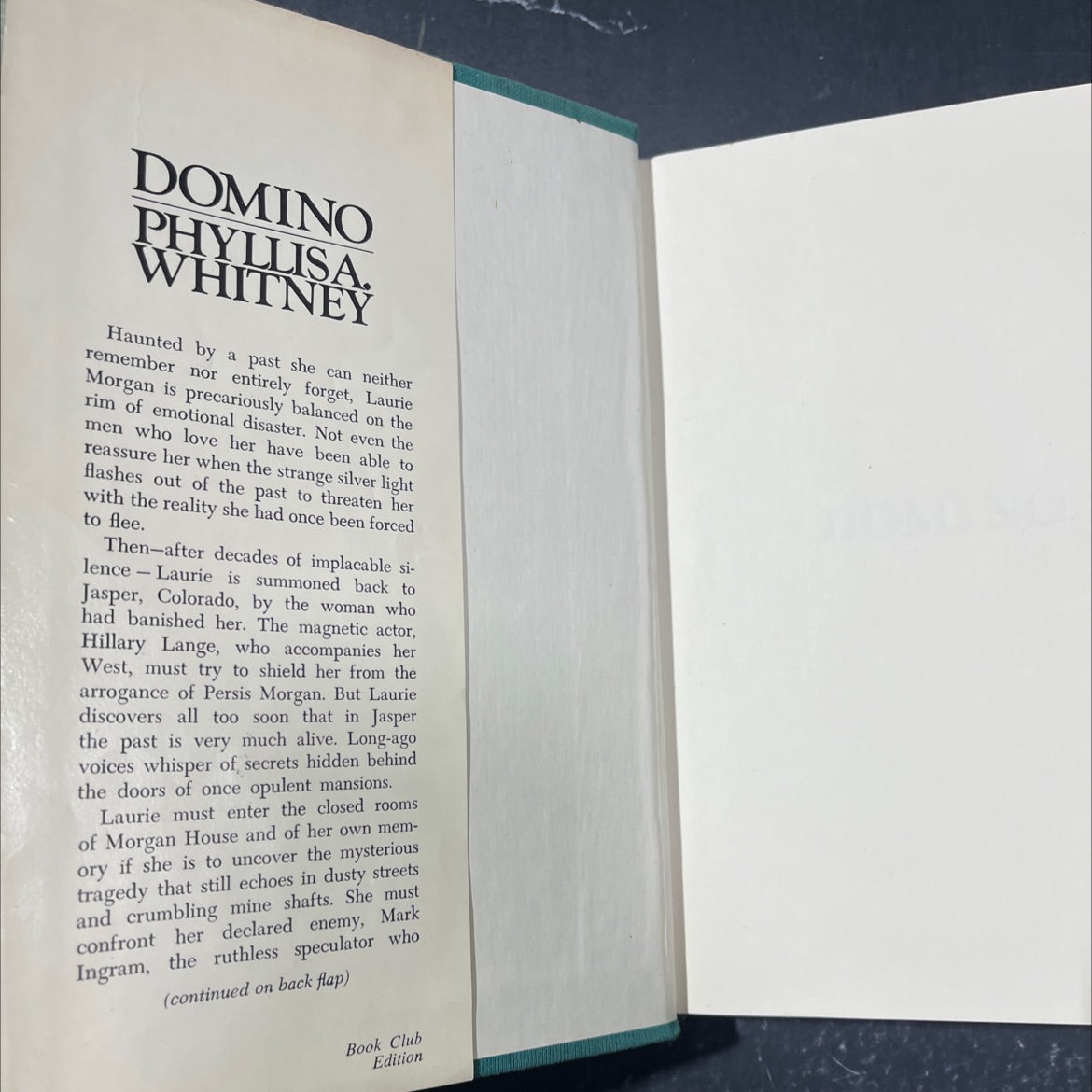 domino book, by Phyllis A. Whitney, 1979 Hardcover image 4