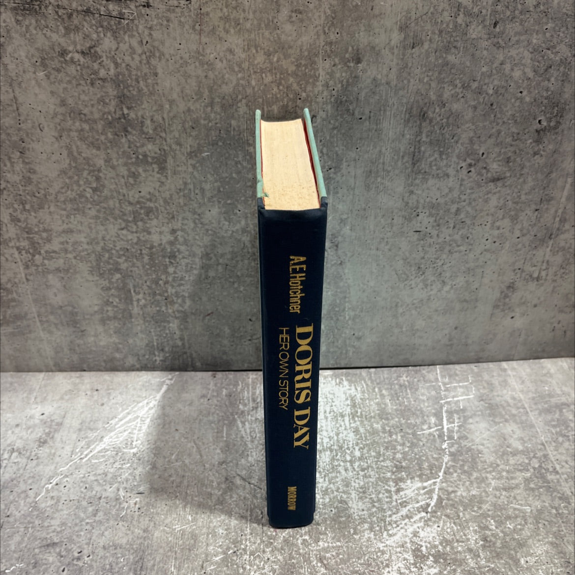 doris day her own story book, by A. E. Hotchner, 1976 Hardcover image 4
