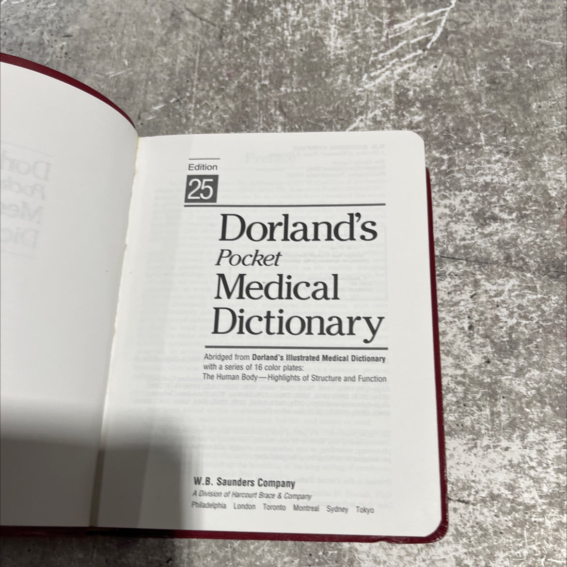 dorland's pocket medical dictionary book, by W.B. Saunders Company, 1995 Leather image 2
