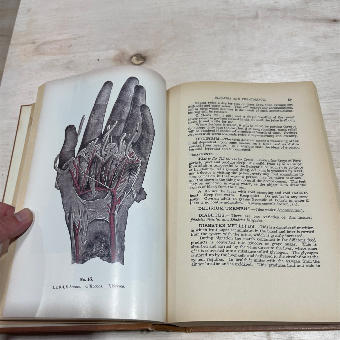 dr. goodenough's home cures & herbal remedies book, by josephus goodenough, 1982 Hardcover image 4