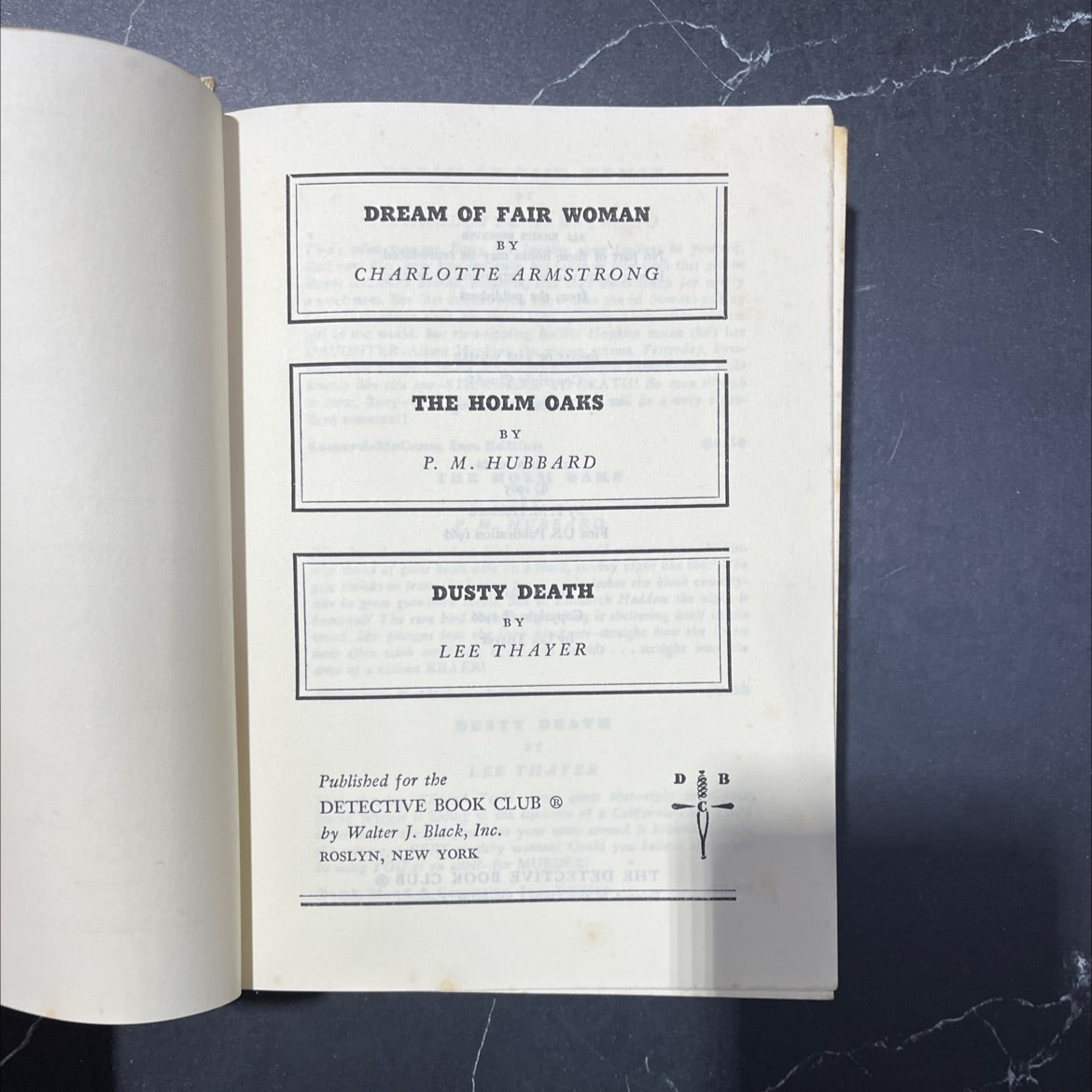 dream of fair woman book, by charlotte armstrong, 1966 Hardcover image 2