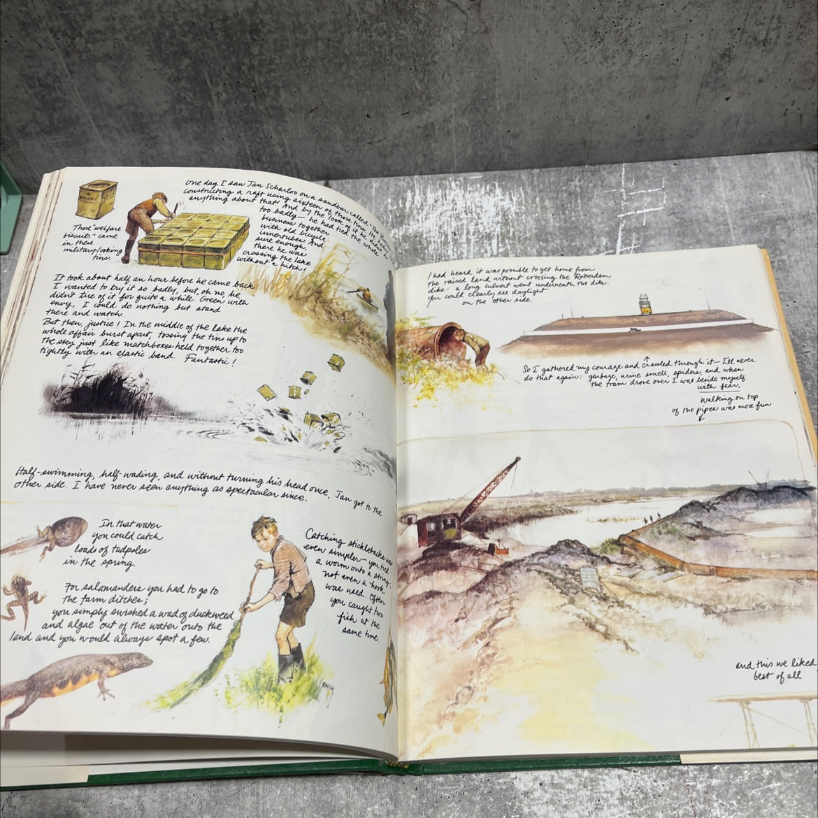 dutch treat book, by rien poortvliet, 1981 Hardcover image 4