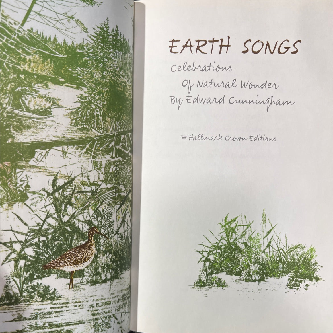 earth songs celebrations of natural wonder book, by Edward Cunningham, 1974 Hardcover image 2