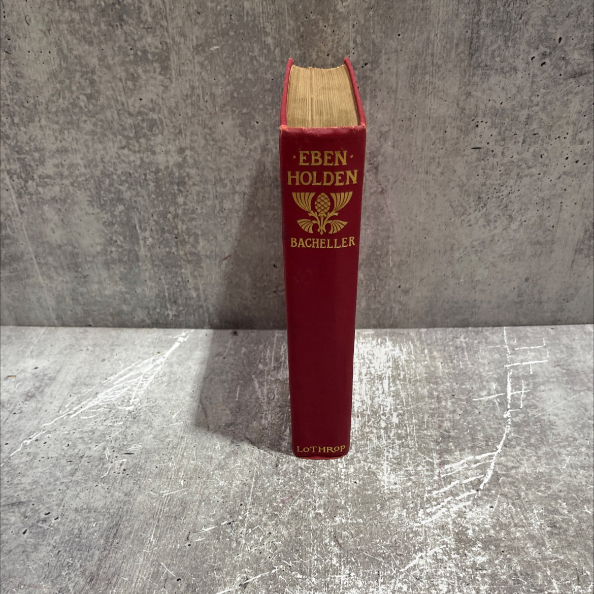eben holden a tale of the north country book, by irving bacheller, 1900 Hardcover image 4