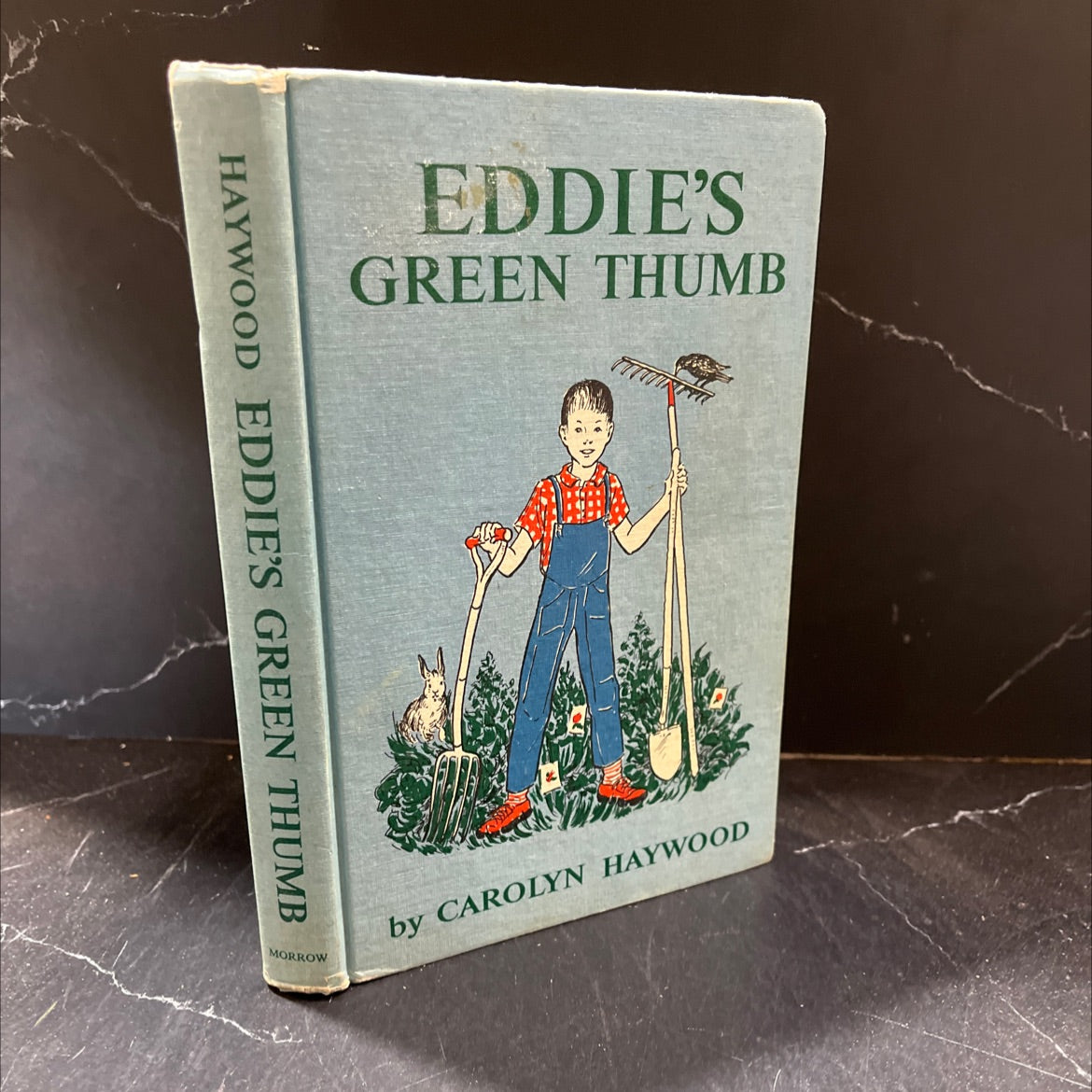 eddie's green thumb book, by carolyn haywood, 1964 Hardcover image 1