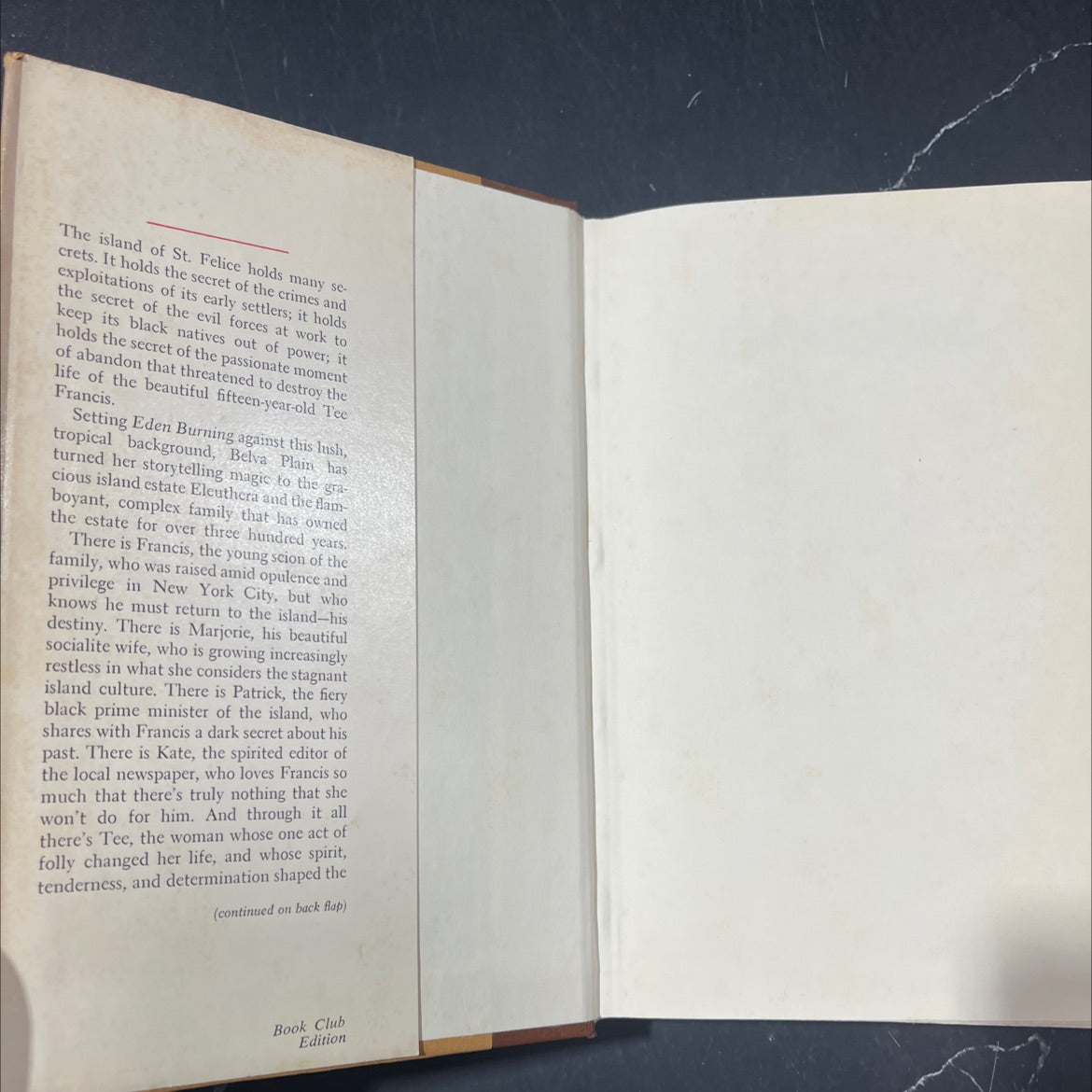 eden burning book, by belva plain, 1982 Hardcover image 4