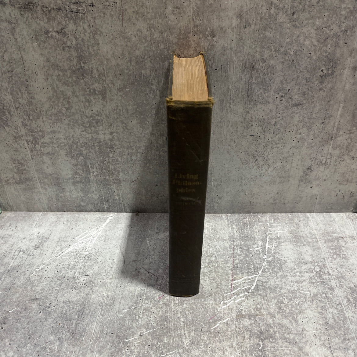 einstein living philosophies book, by albert einstein, 1931 Hardcover image 4