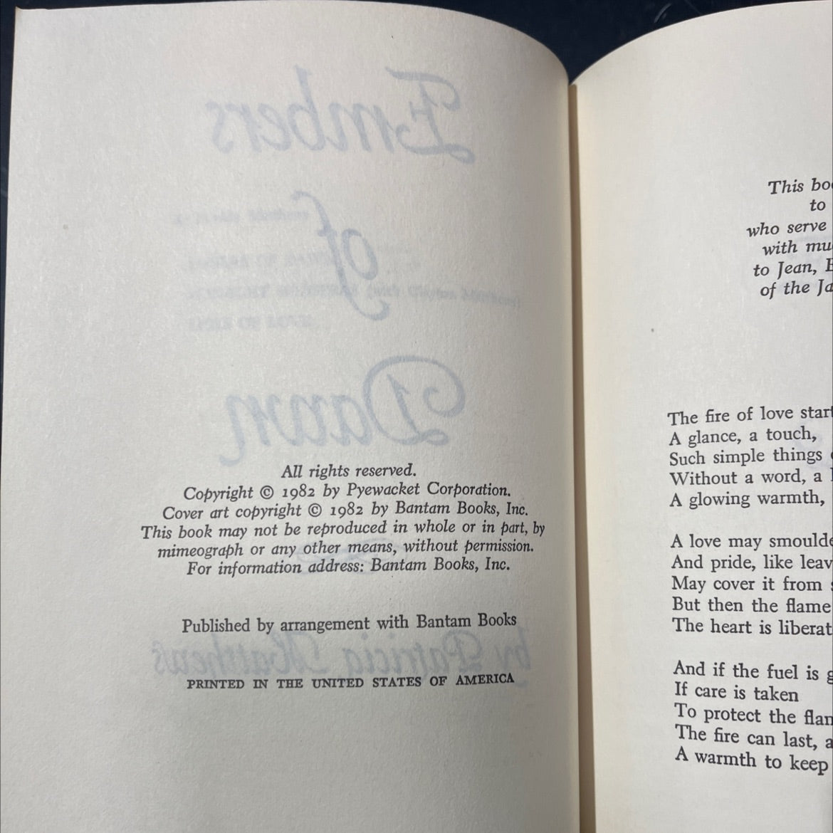 embers of dawn book, by patricia mattheus nelson, 1982 Hardcover image 3
