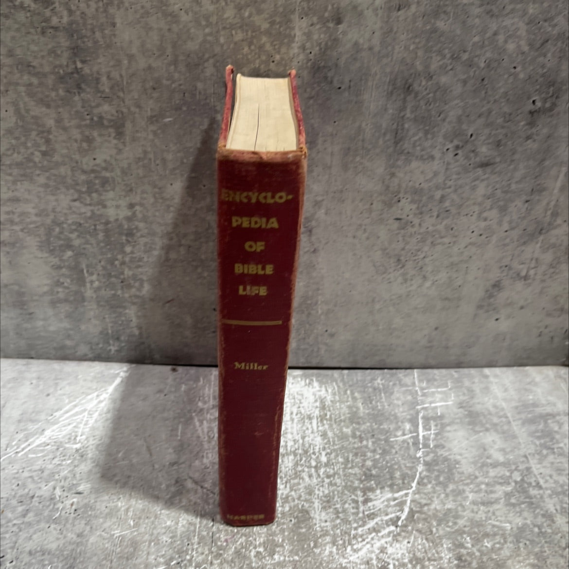 encyclopedia of bible life book, by madeleine s. miller and j. lane miller, 1944 Hardcover image 4