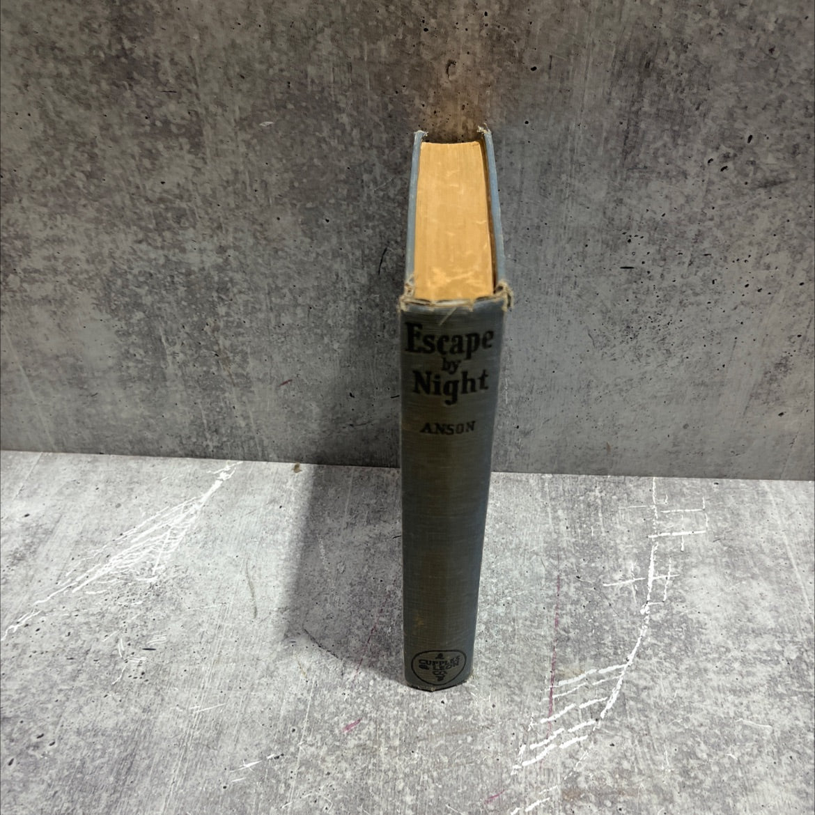 escape by night book, by alice anson, 1941 Hardcover image 4