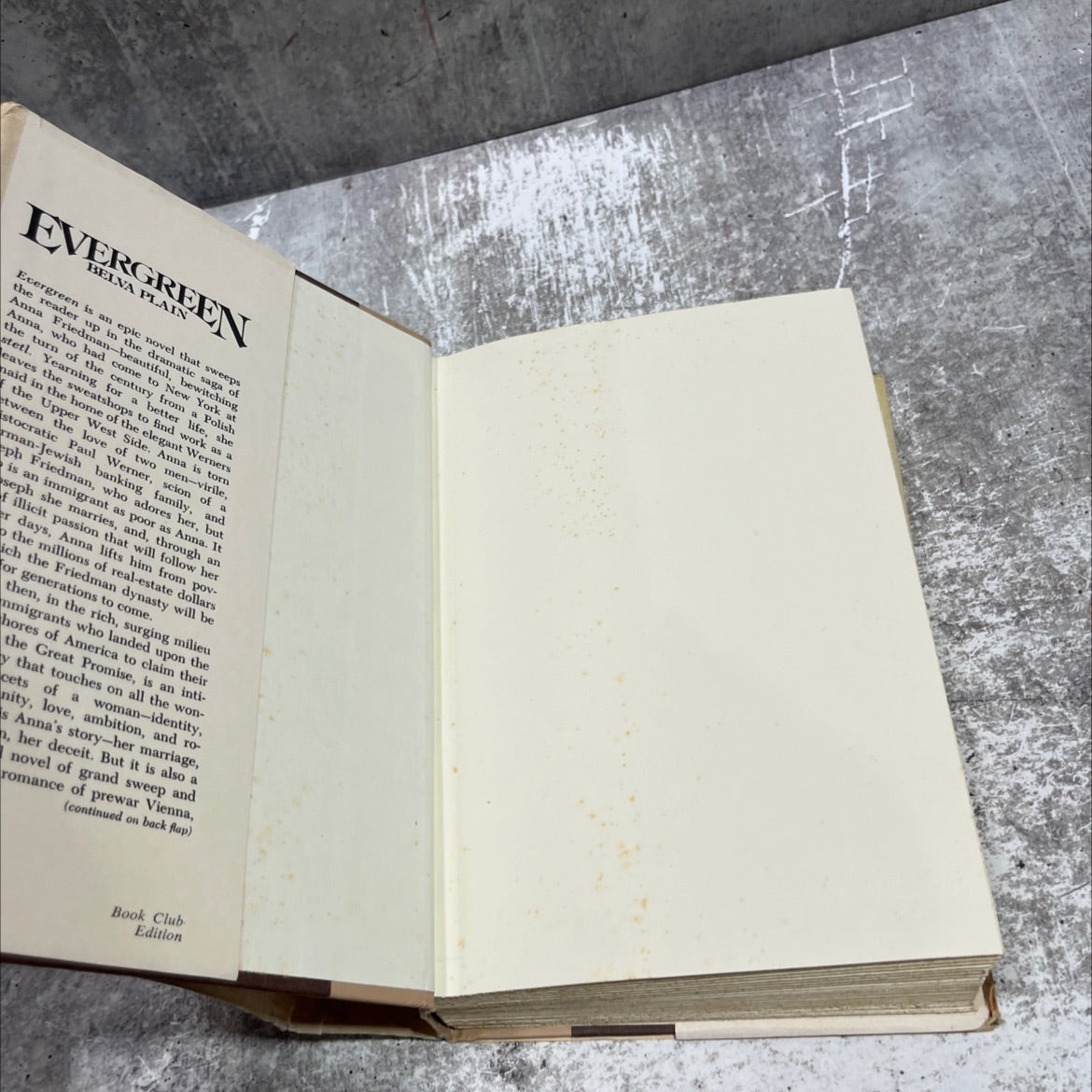 evergreen book, by belva plain, 1978 Hardcover image 4