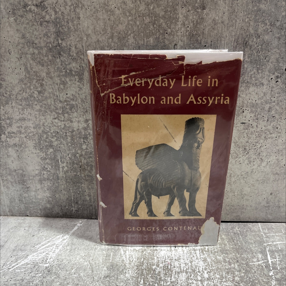 everyday life in babylon and assyria book, by georges contenau, 1954 Hardcover image 1