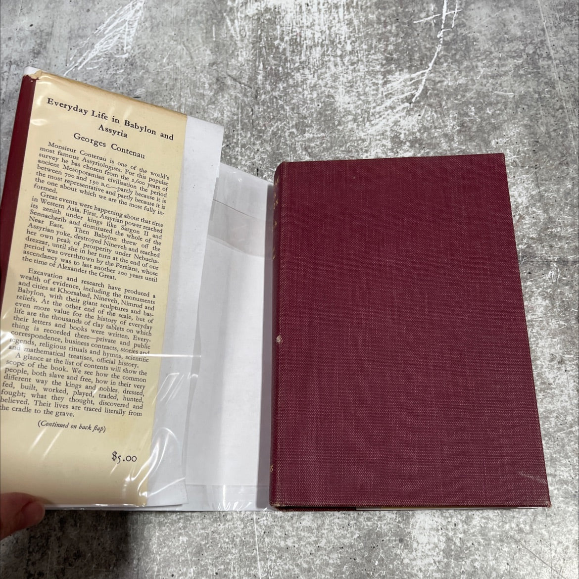 everyday life in babylon and assyria book, by georges contenau, 1954 Hardcover image 4