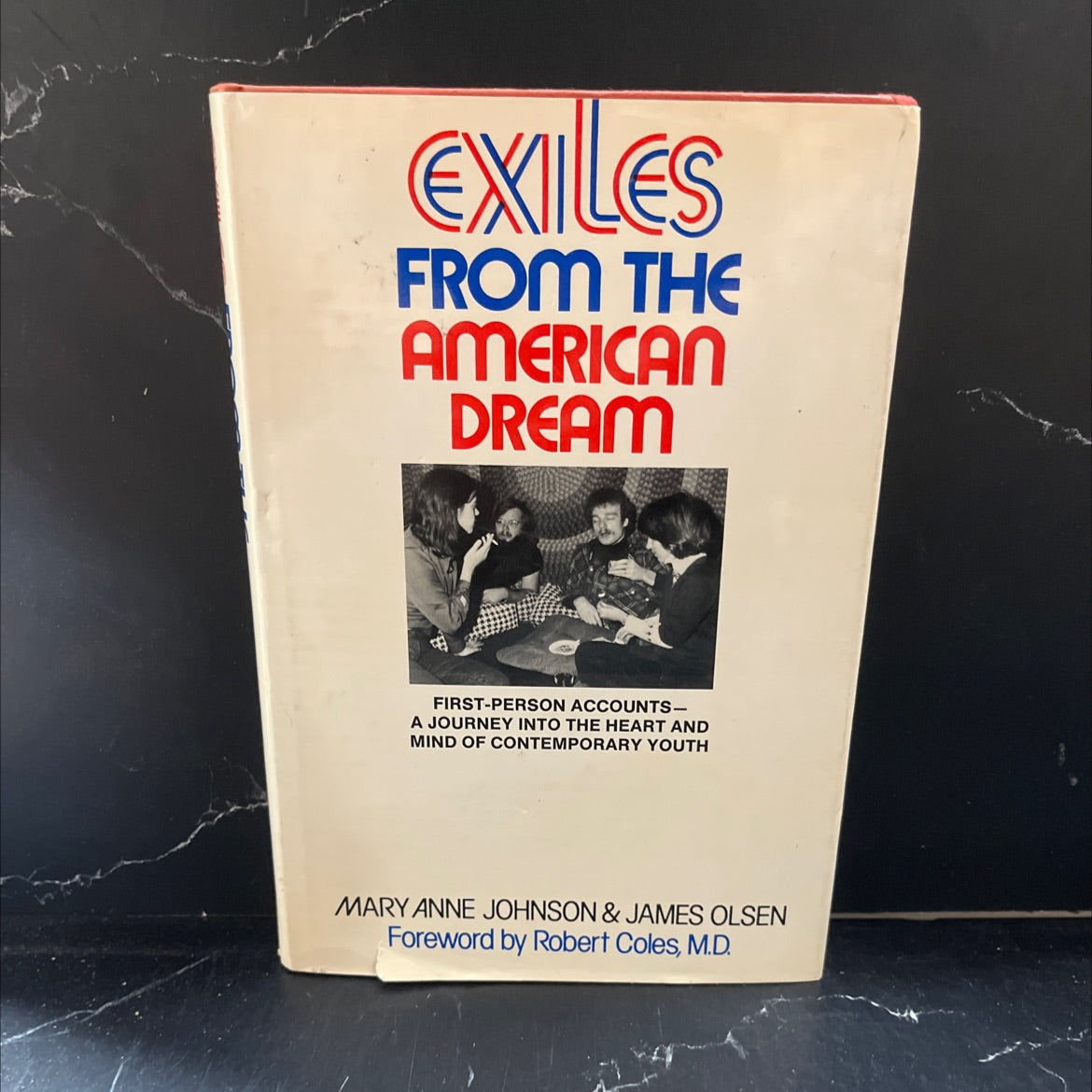 exiles from the american dream first-person accounts of our disenchanted youth book, by mary anne johnson and james image 1