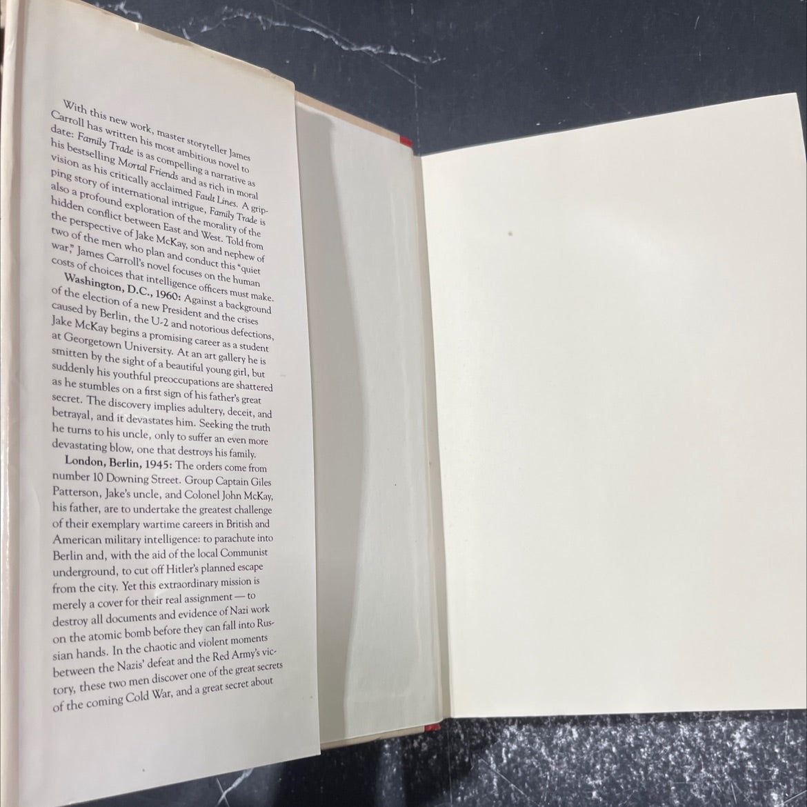 family trade book, by Carroll, James, 1982 Hardcover image 4