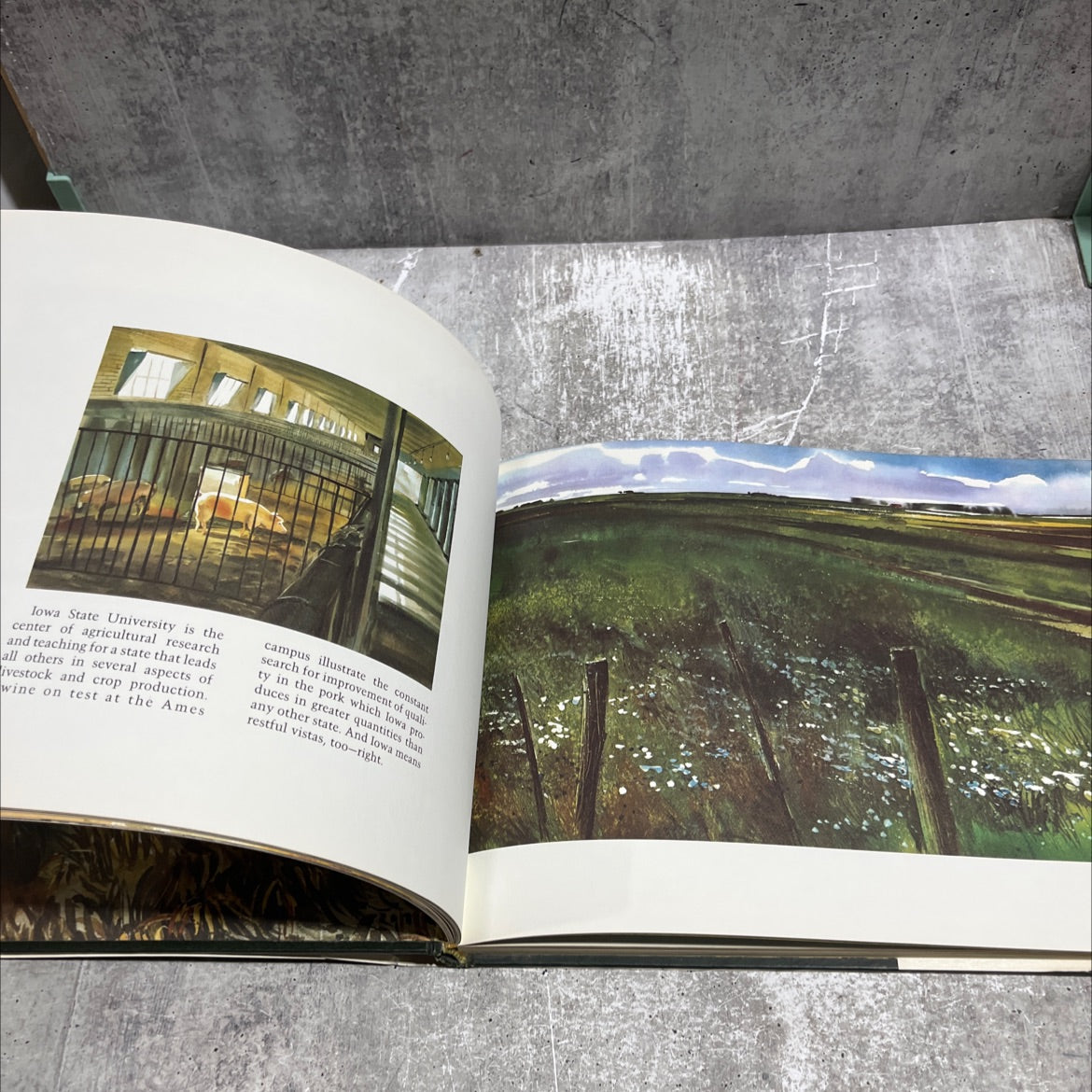 farmland book, by james r. hamil and harold hamil, 1975 Hardcover image 4