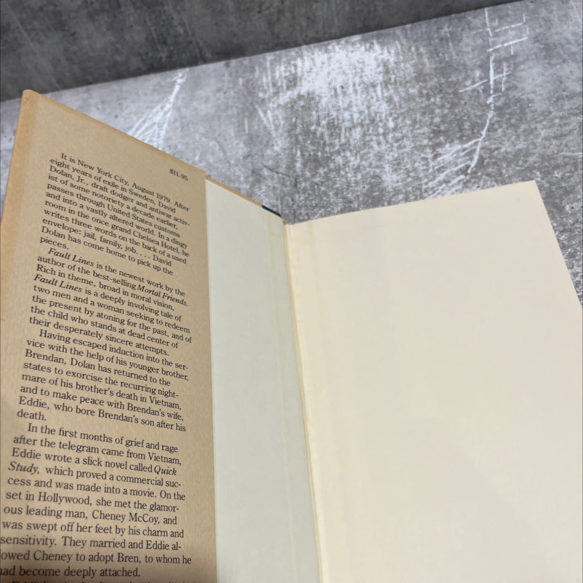fault lines book, by james carroll, 1980 Hardcover image 4