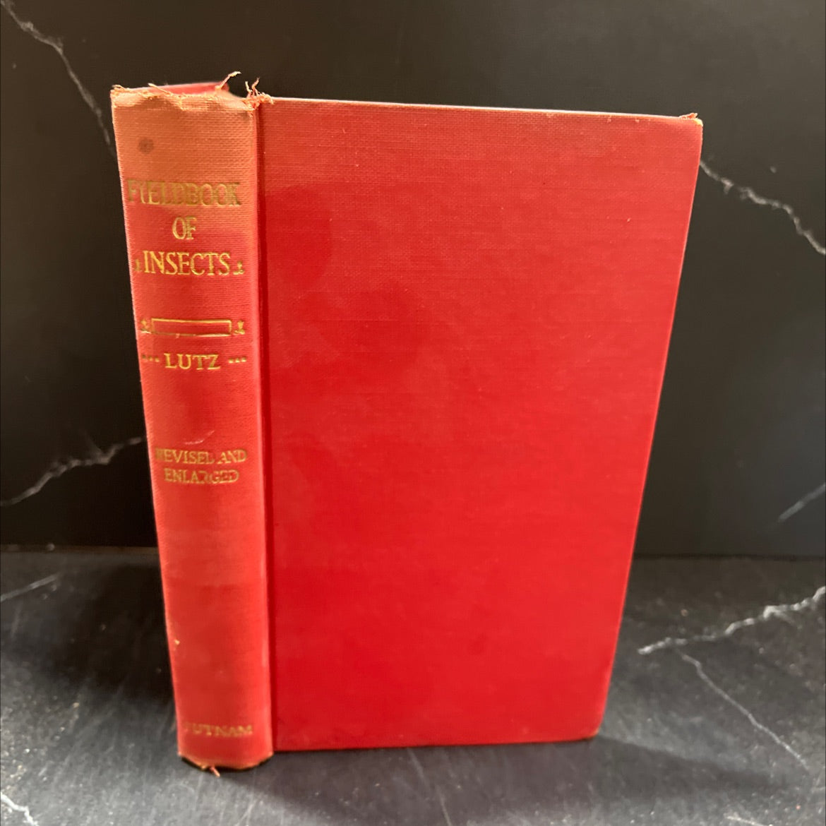 field book of insects of the united states and canada, aiming to answer common questions book, by frank e. lutz, 1948 image 1
