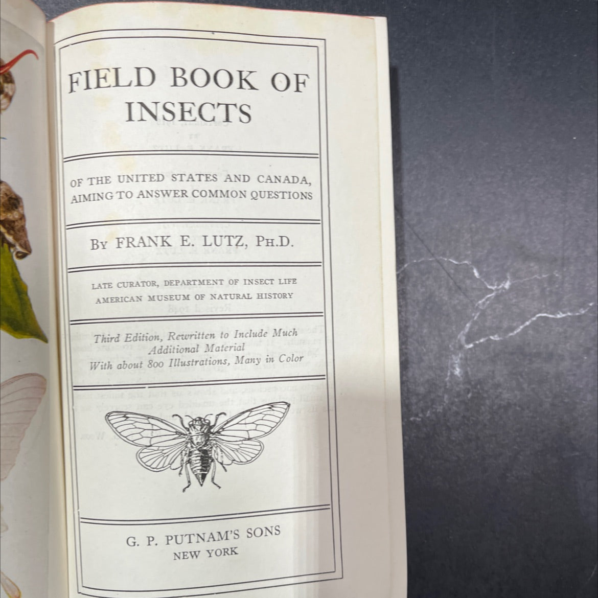 field book of insects of the united states and canada, aiming to answer common questions book, by frank e. lutz, 1948 image 2