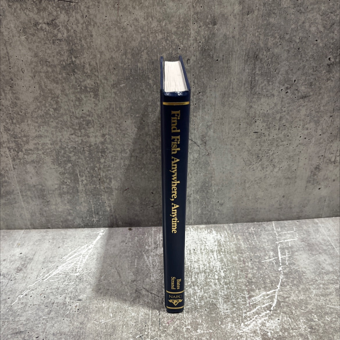 find fish anywhere, anytime book, by North American Fishing Club, 1991 Hardcover image 4