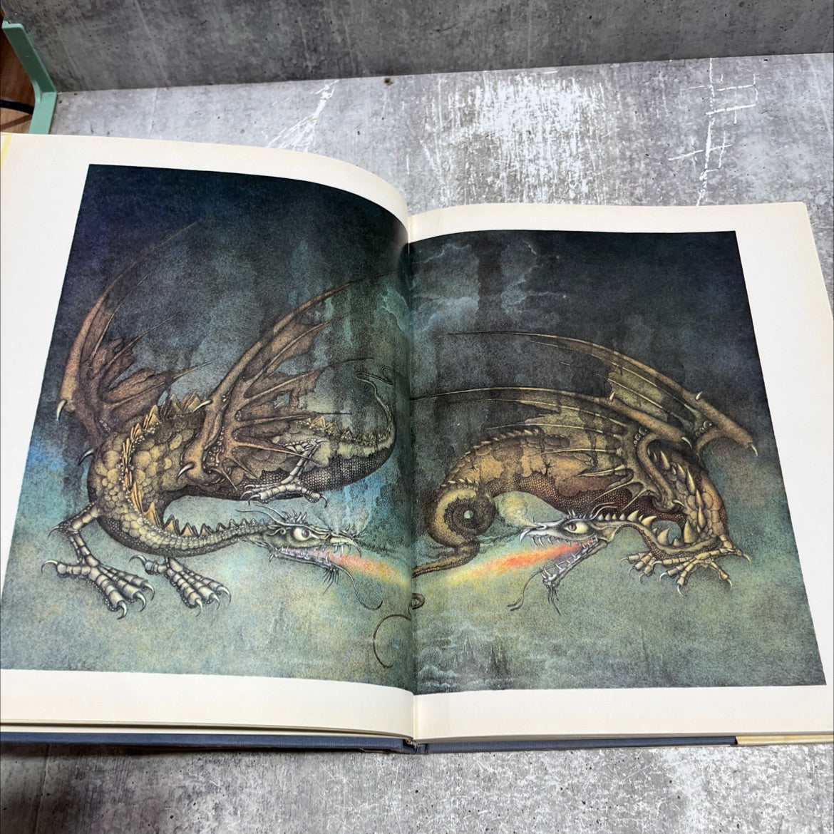 flight of dragons book, by Peter Dickinson, 1979 Hardcover image 4