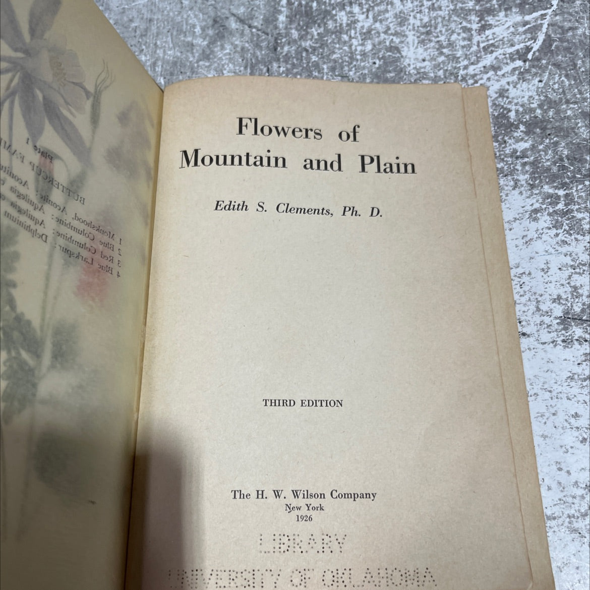 flowers of mountain and plain book, by Edith S. Clements, 1926 Hardcover image 2