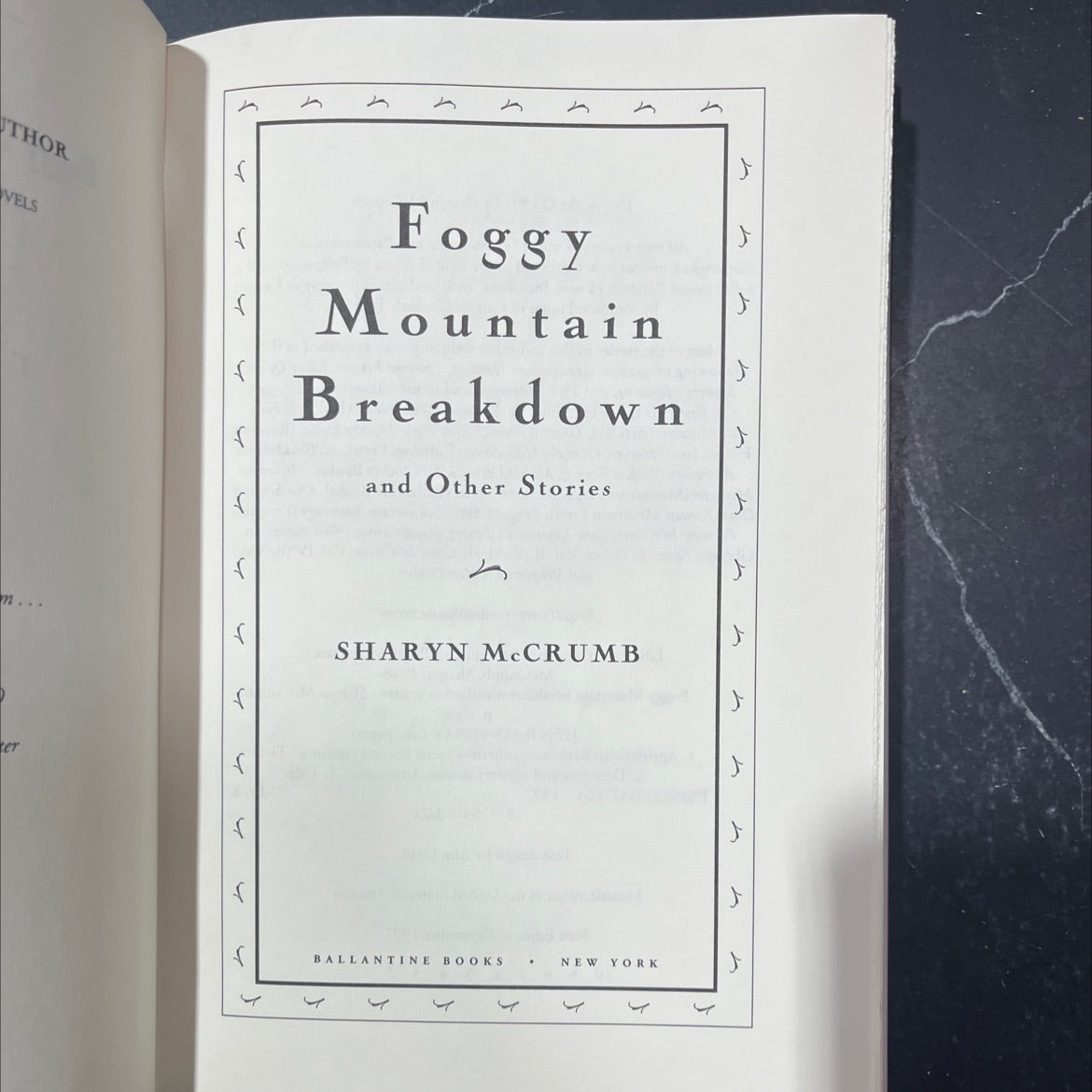 foggy mountain breakdown and other stories book, by sharyn mccrumb, 1997 Hardcover image 2