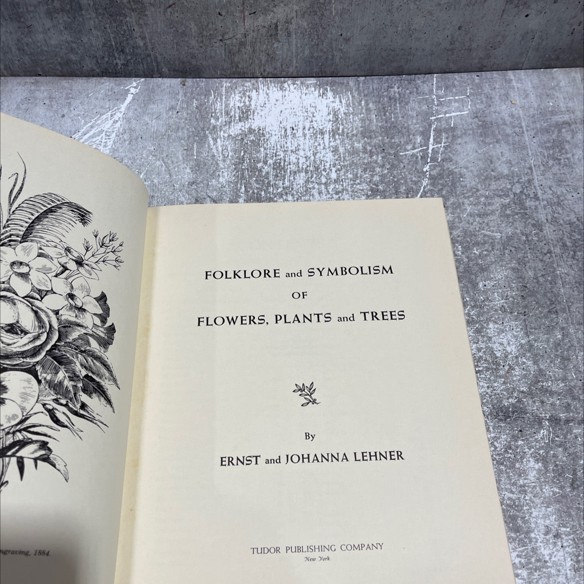 folklore and symbolism of flowers, plants and trees book, by ernst and johanna lehner, 1960 Hardcover image 2