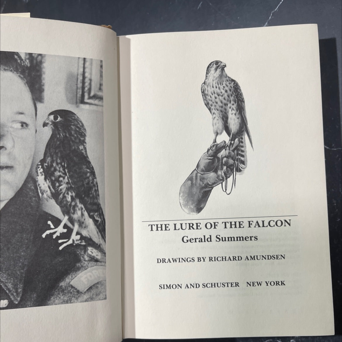 for the lure of the falcon book, by Gerald Summers, 1972 Hardcover image 2