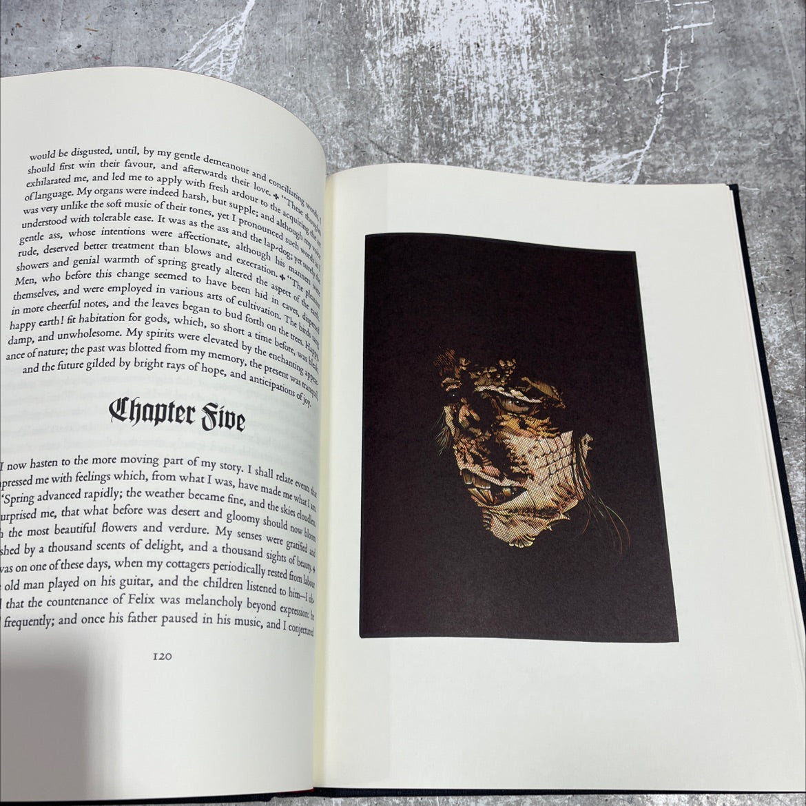 frankenstein; or, the modern prometheus book, by mary shelley, 1984 Hardcover image 4
