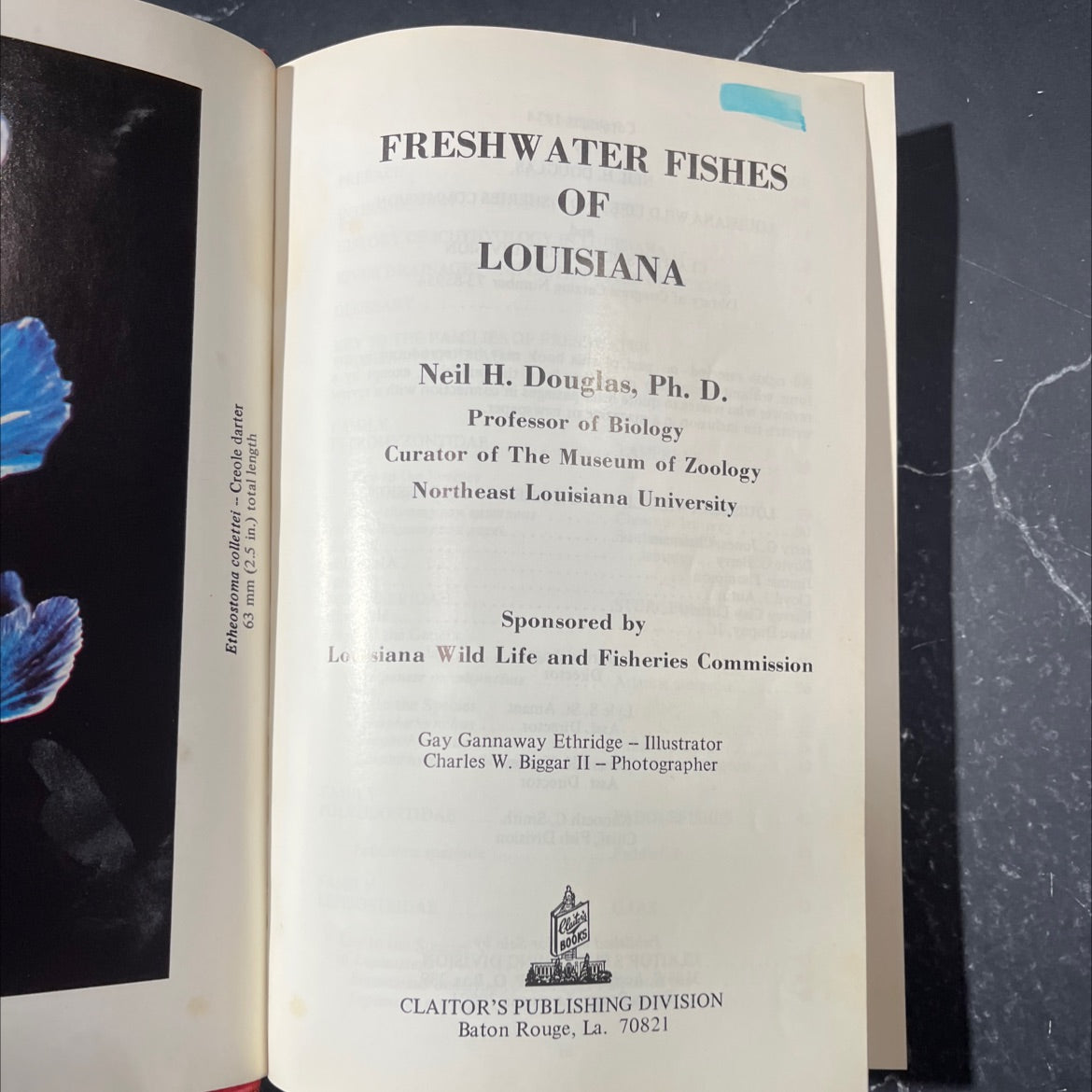 freshwater fishes of louisiana book, by neil h. douglas, 1974 Hardcover image 2