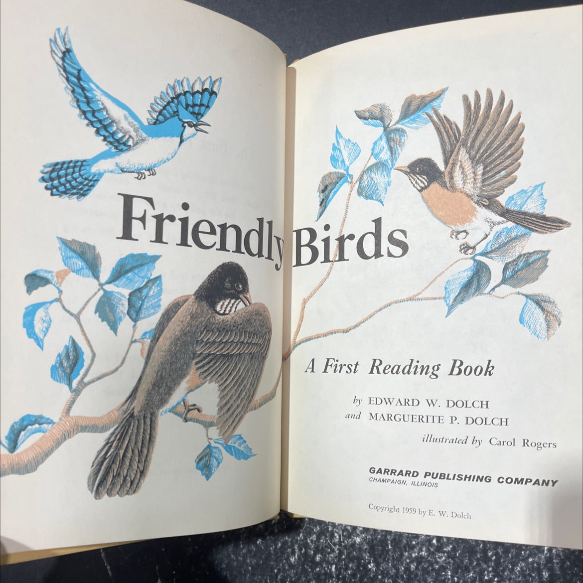 friendly birds a first reading book book, by edward w. dolch, marguerite p. dolch, 1959 Hardcover image 2
