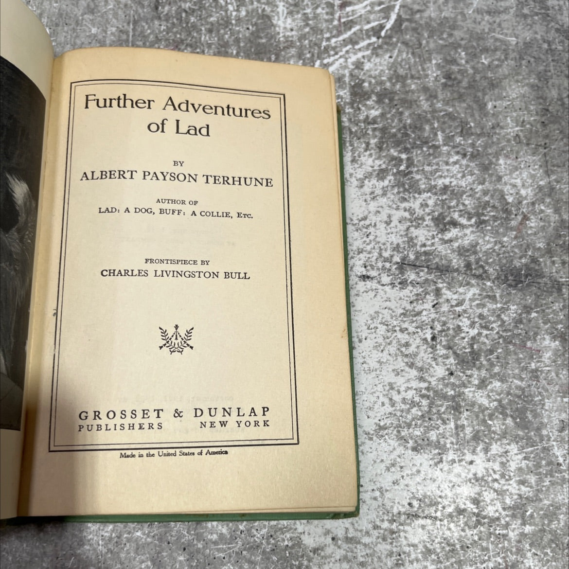 further adventures of lad book, by albert payson terhune, 1922 Hardcover image 2