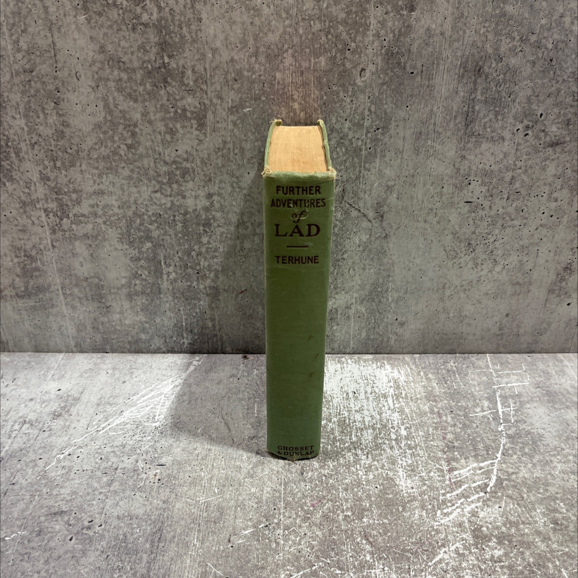 further adventures of lad book, by albert payson terhune, 1922 Hardcover image 4