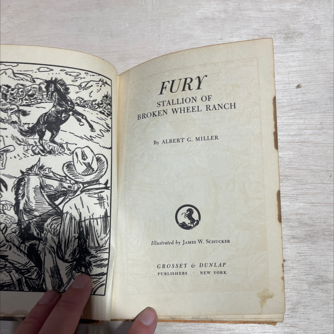 fury stallion of broken wheel ranch book, by albert g. miller, 1959 Hardcover image 2