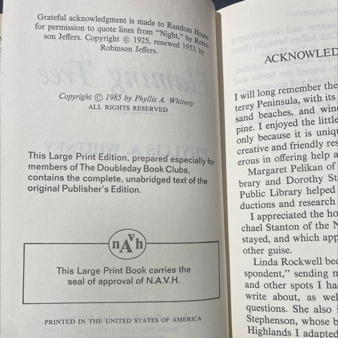 gbolondon futur stoup of uoizzieq ot flaming tree book, by phyllis a. whitney, 1985 Hardcover image 3