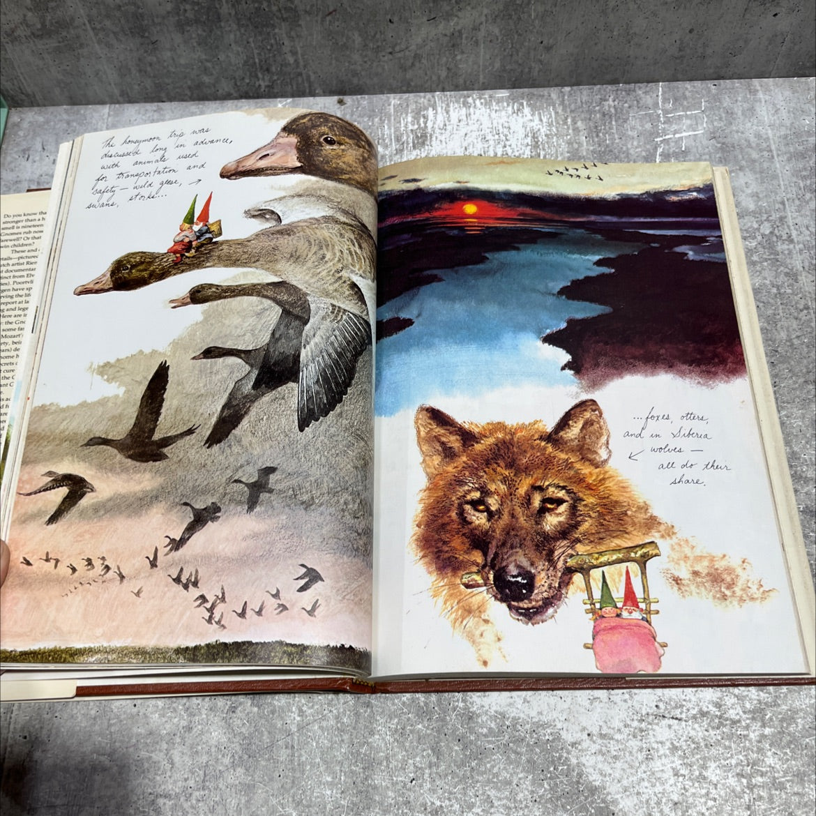 gnomes book, by Wil Huygen, 1977 Hardcover image 3