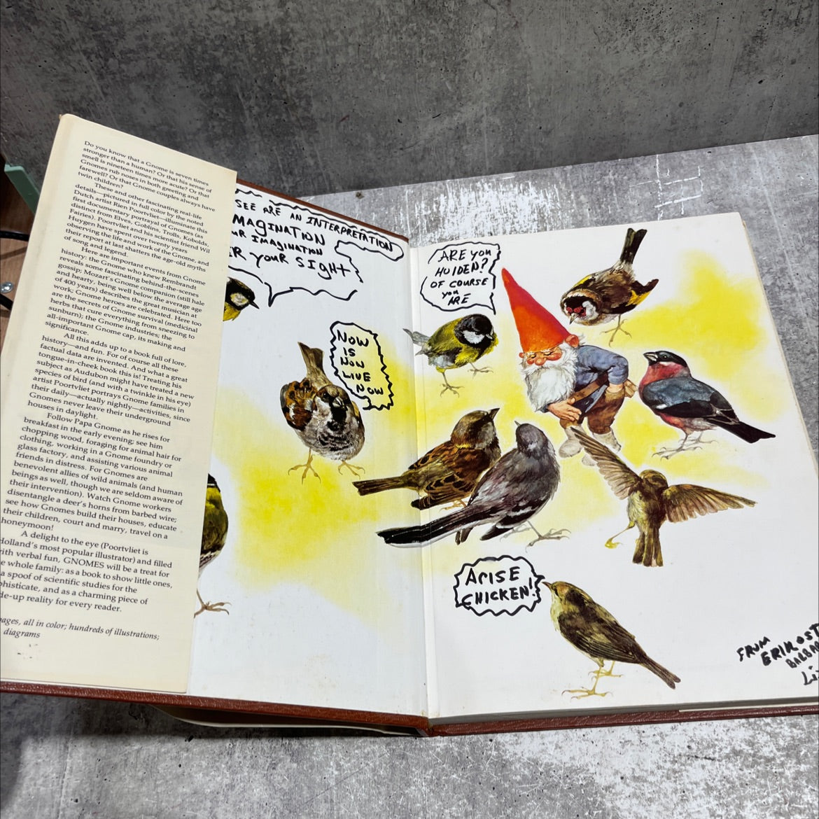gnomes book, by Wil Huygen, 1977 Hardcover image 4