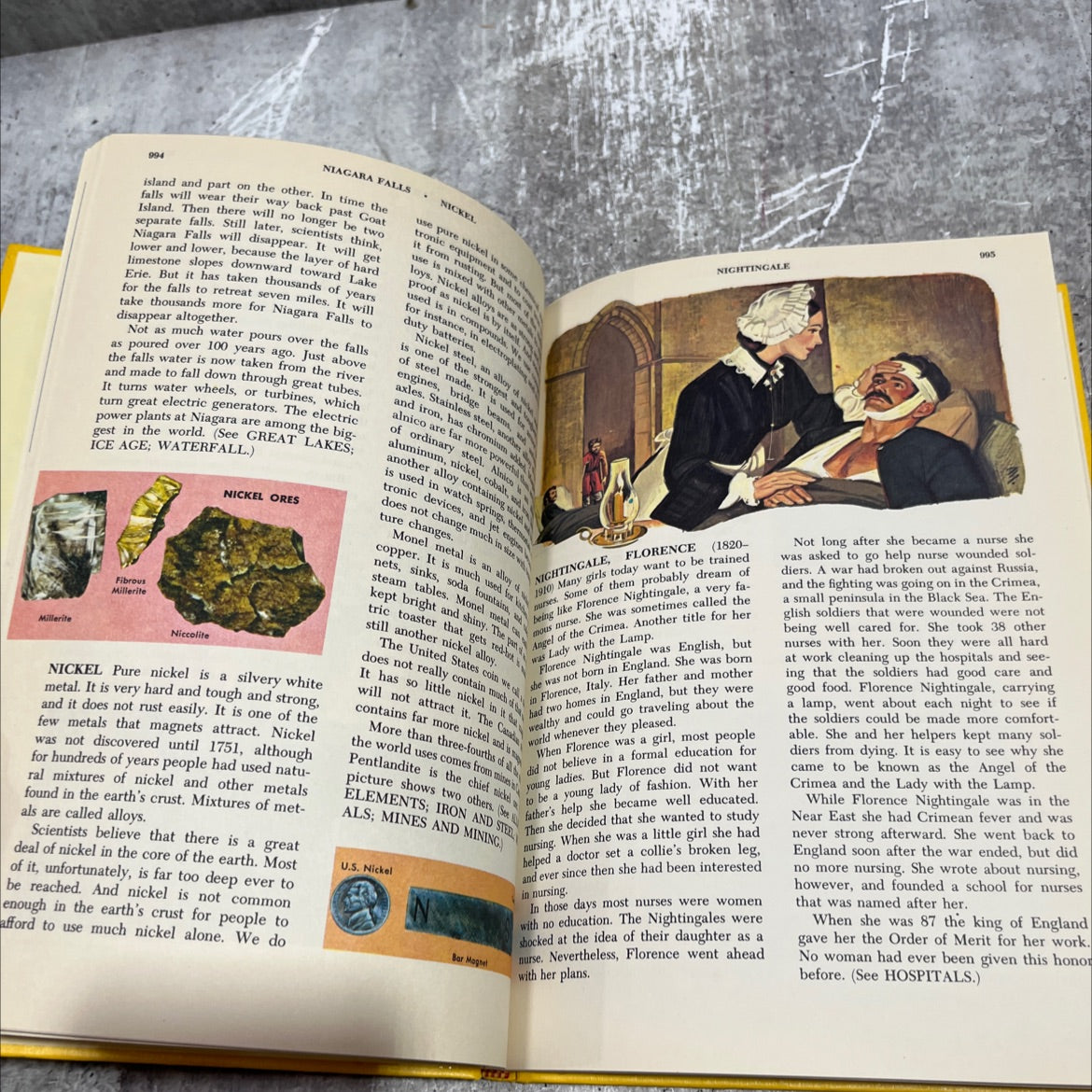 golden book encyclopedia new revised edition volume 11-navy to parasites book, by bertha morris parker, 1970 Hardcover image 4