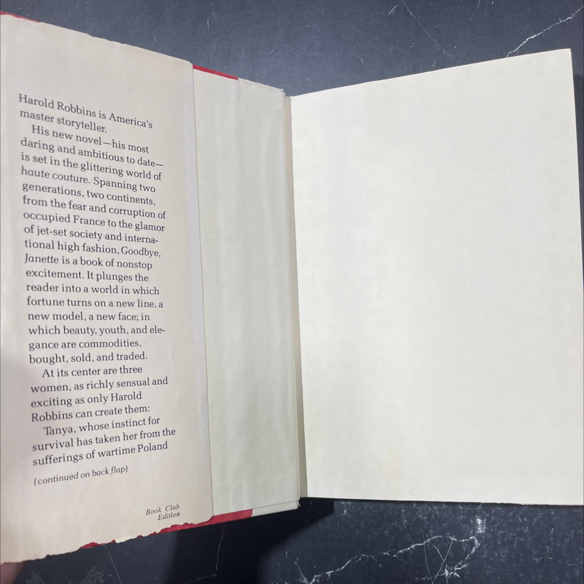 goodbye book, by harold robbins, 1981 Hardcover image 4