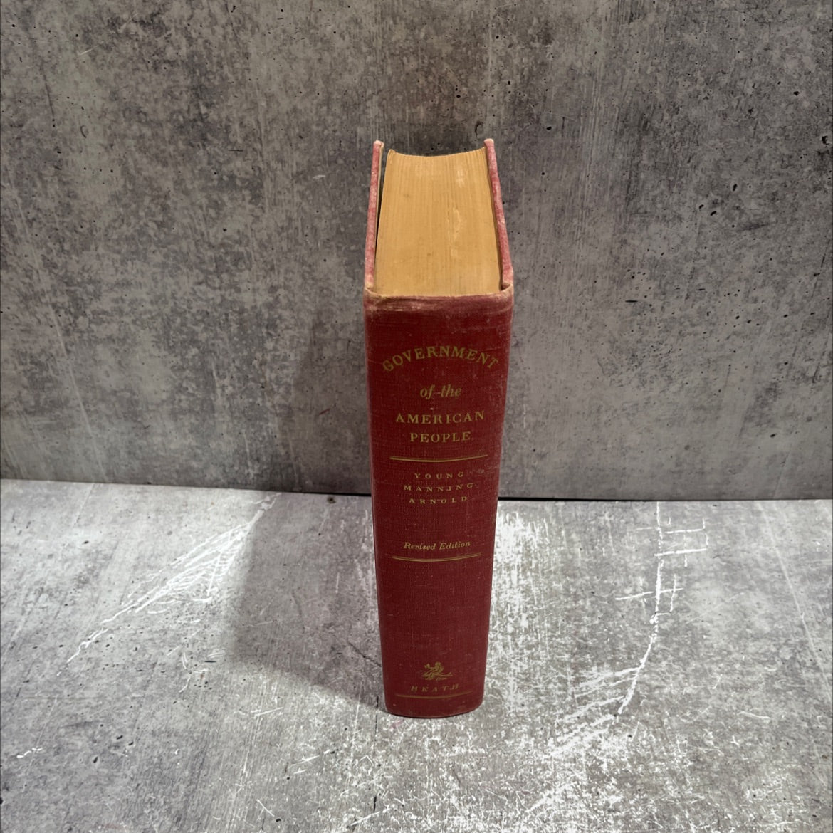 government of the american people an integrated presentation of its political, economic, and social functions book, by image 4