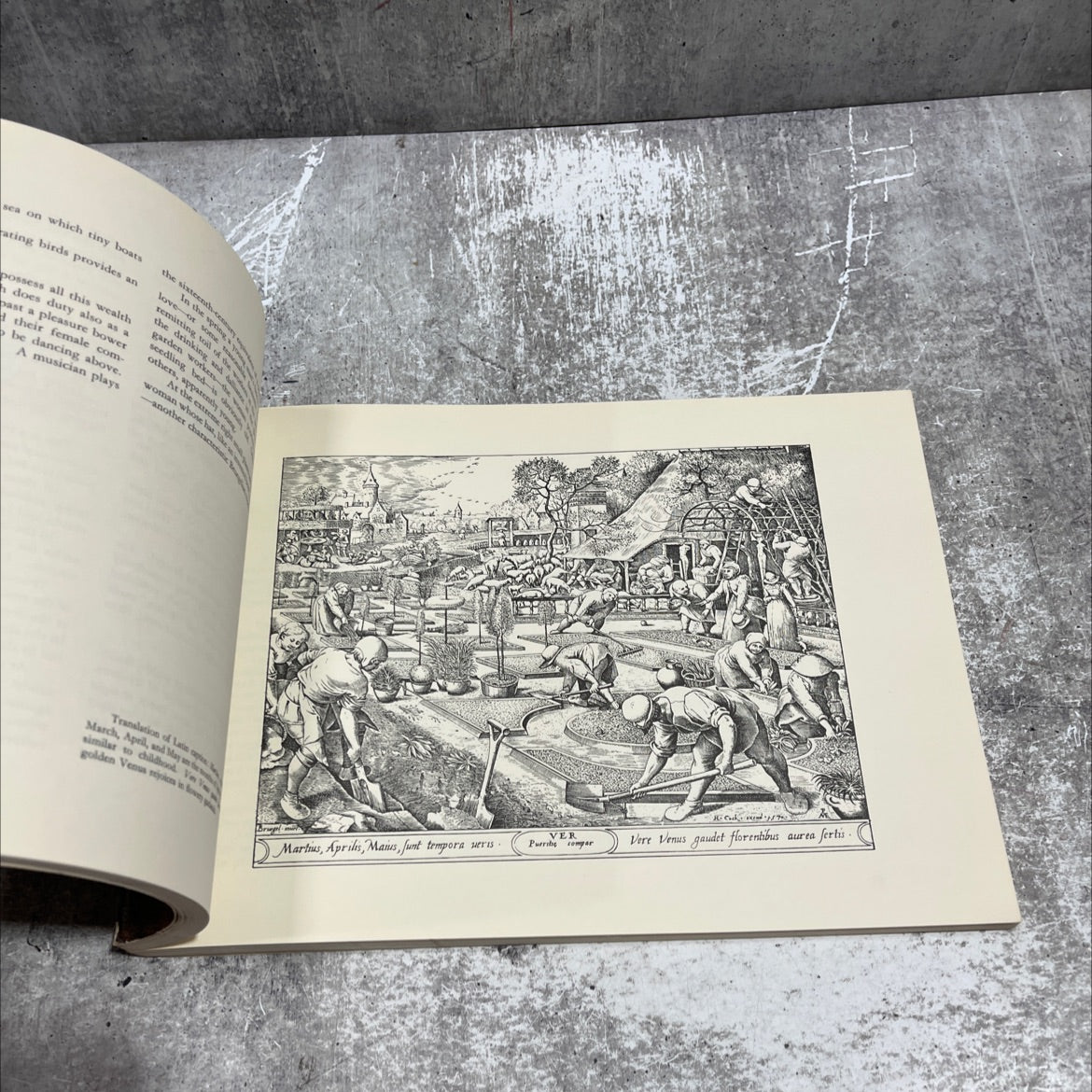 graphic worlds of peter bruegel the elder book, by h. arthur klein, 1963 Paperback image 4