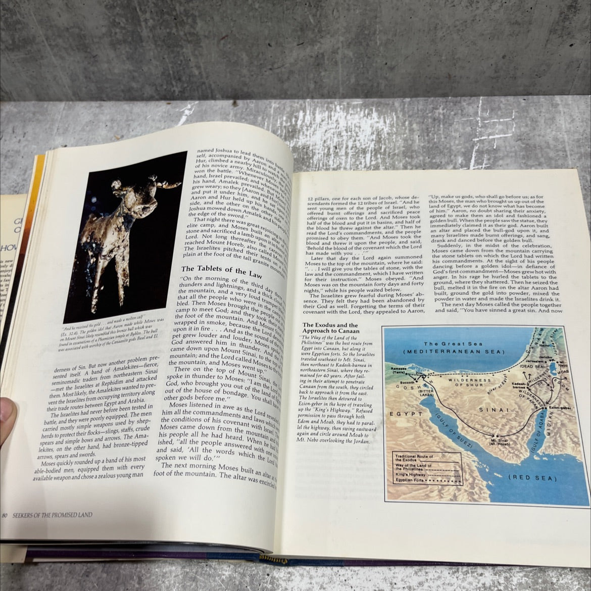 great people of the bible and how they lived book, by unknown, 1974 Hardcover image 4