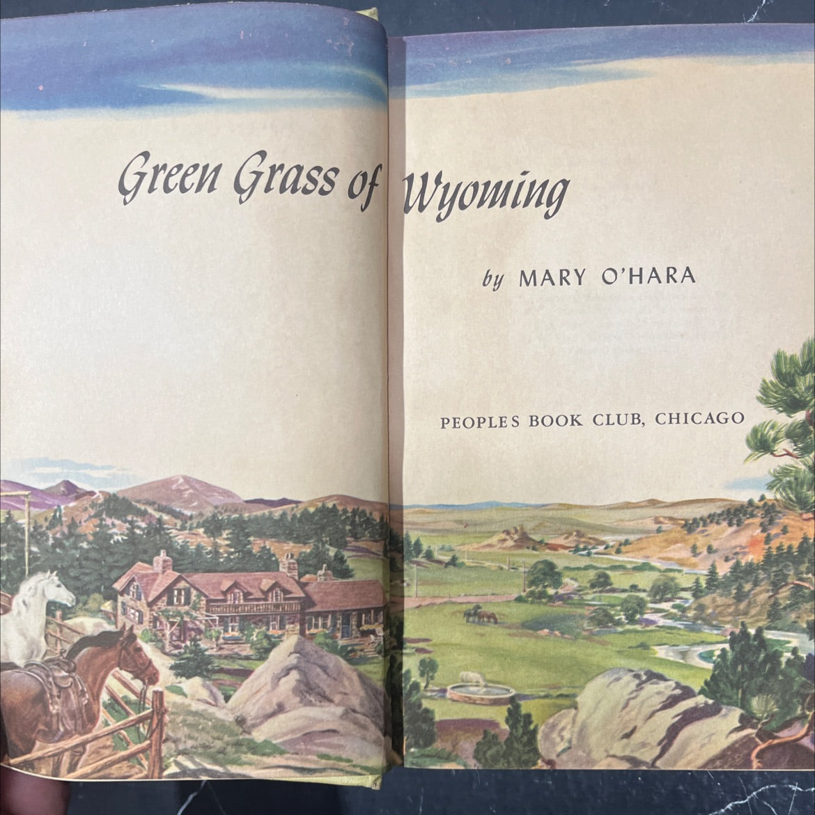 green grass of wyoming book, by mary o'hara, 1946 Hardcover image 2