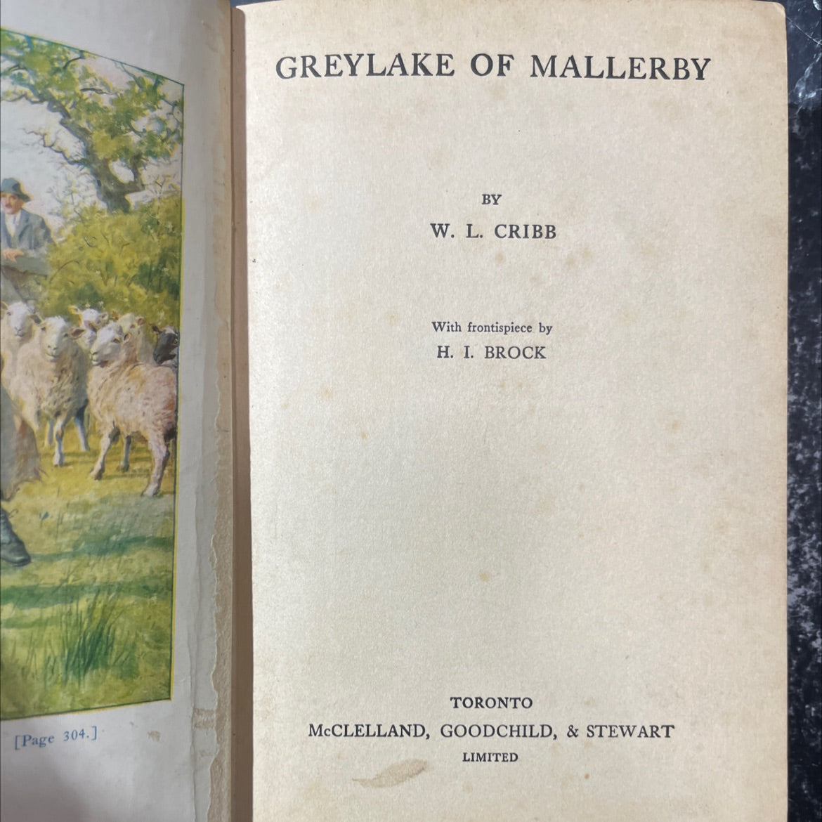 grey lake of mallerby book, by w. l. cribb, 1914 Hardcover image 2