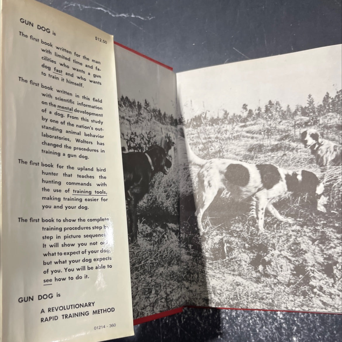 gun dog book, by richard a. wolters, 1961 Hardcover image 4