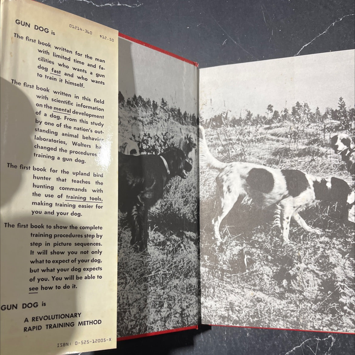 gun dog book, by richard a. wolters, 1961 Hardcover image 4