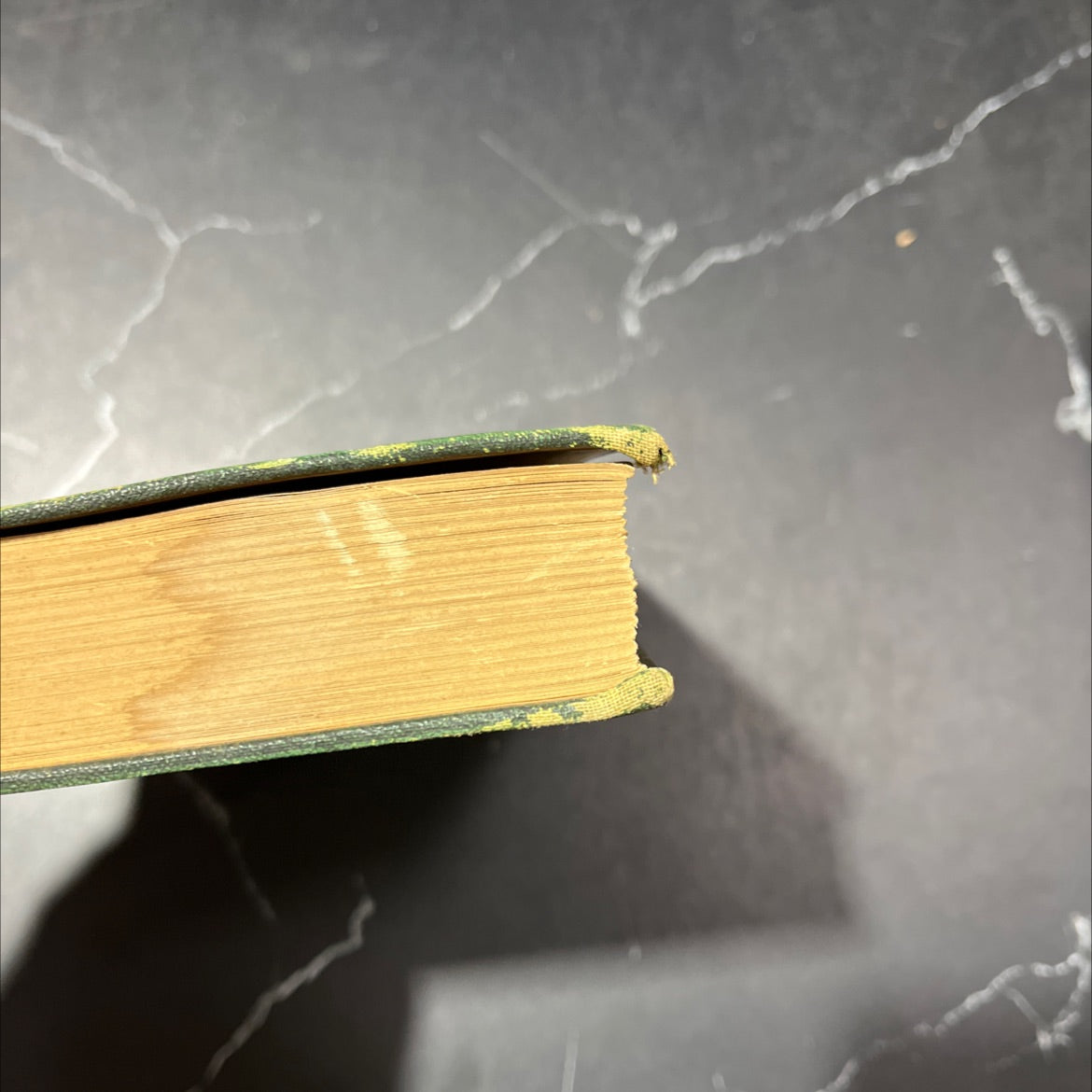 guy de maupassant a biographical study book, by ernest boyd, 1926 Hardcover, Heavily Used image 4